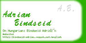 adrian bindseid business card